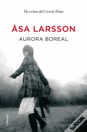 Capa do artigo Aurora Boreal