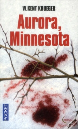 Capa do artigo Aurora  Minnesota