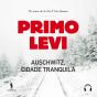Auschwitz, Cidade Tranquila - Preview