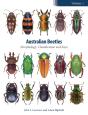 Australian Beetles - Preview