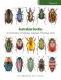 Australian Beetles Volume 2 - Preview