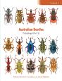 Australian Beetles Volume 3 - Preview