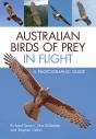 Australian Birds Of Prey In Flight - Preview