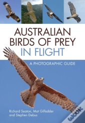 Australian Birds Of Prey In Flight