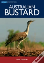 Australian Bustard