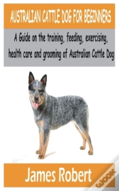 Capa do artigo Australian Cattle Dog For Beginners