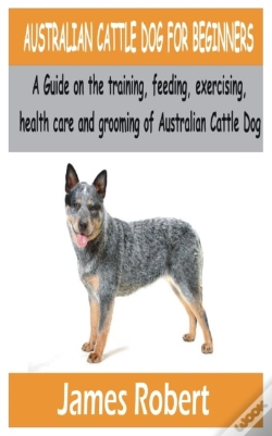Capa do artigo Australian Cattle Dog For Beginners