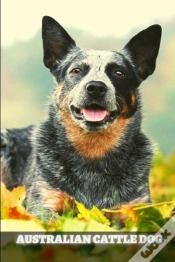 Capa do artigo Australian Cattle Dog