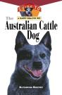 Australian Cattle Dog - Preview