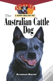 Australian Cattle Dog