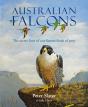 Australian Falcons - Preview