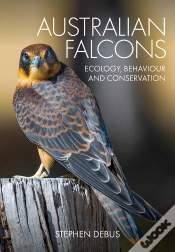 Capa do artigo Australian Falcons