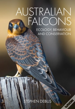 Capa do artigo Australian Falcons