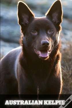 Capa do artigo Australian Kelpie