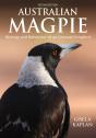 Australian Magpie - Preview