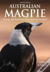 Australian Magpie