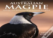 Australian Magpie