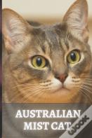 Australian Mist Cat