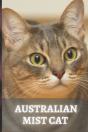 Australian Mist Cat - Preview