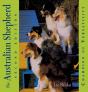 Australian Shepherd - Preview