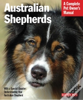 Australian Shepherds