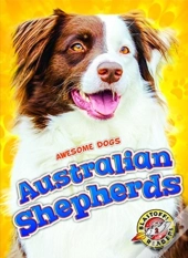 Australian Shepherds