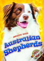 Australian Shepherds