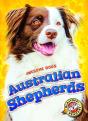 Australian Shepherds - Preview