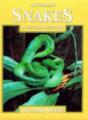 Australian Snakes - Preview