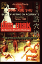 Authentic Shaolin Heritage - Preview