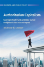 Authoritarian Capitalism - Preview