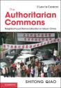 Authoritarian Commons - Preview