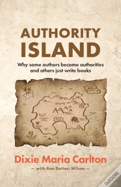 Capa do artigo Authority Island