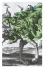 Autobiographie De L'Esprit - Preview