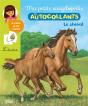 Autocollants Encyclo Le Cheval - Preview