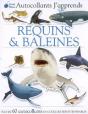 Autocollants J'Apprends ; Requins - Preview