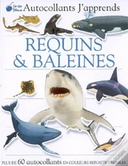 Capa do artigo Autocollants J'Apprends ; Requins