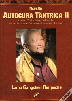 Capa do artigo Autocura Tântrica II