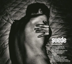 Capa do artigo Autofiction - CD