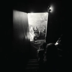 Capa do artigo Automat - CD