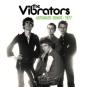 Automatic Demos 1977 - Vinil - Preview