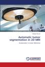 Automatic Tumor Segmentation In 2d Mri - Preview