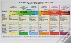 Capa do artigo Autonomic Nervous System Table: Laminated Card
