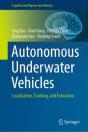 Autonomous Underwater Vehicles - Preview