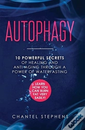 Capa do artigo Autophagy: 10 Powerful Secrets Of Healin