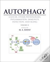 Autophagy: Cancer, Other Pathologies, Inflammation, Immunity, Infection, And Aging