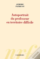 Autoportrait Du Professeur En Territoire Difficile
