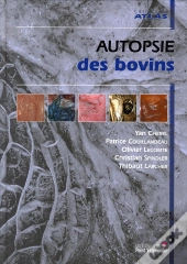 Autopsie Des Bovins