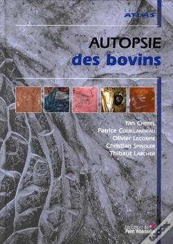 Capa do artigo Autopsie Des Bovins