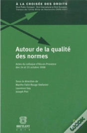 Capa do artigo Autour De La Qualite Des Normes, Actes D